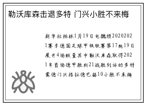勒沃库森击退多特 门兴小胜不来梅